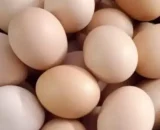 Brown Eggs (Free Range Eggs)