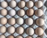 Desi Egg (Country Chicken Egg) [Free Range Egg]
