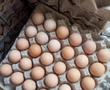Free Range Brown Eggs