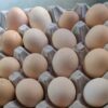 Kadaknath Eggs
