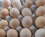Kadaknath Eggs